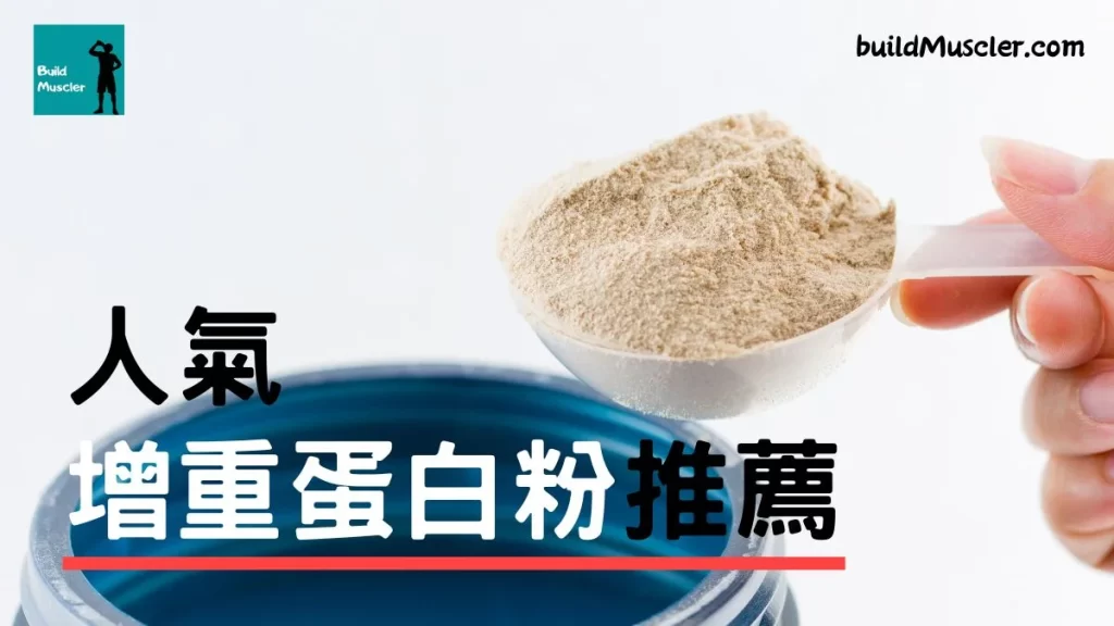 增重蛋白粉推薦