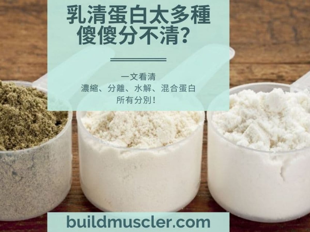 乳清蛋白種類 一文看清混合 濃縮 水解 分離蛋白 Buildmuscler