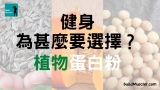 植物蛋白粉比乳清蛋白粉對健身的分別