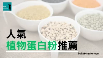5款植物蛋白粉推薦2025,素食、乳糖不耐最合適健身蛋白補充劑