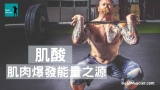 肌酸是肌肉爆發能量不可缺少的燃料